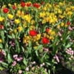 20160407_094722.jpg