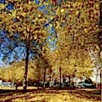 20171024_135429.jpg