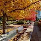 20171029_130709.jpg