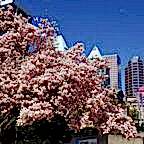 20180410_151722.jpg