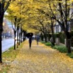 20191116_132820.jpg