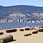 IMG_3529.jpg
